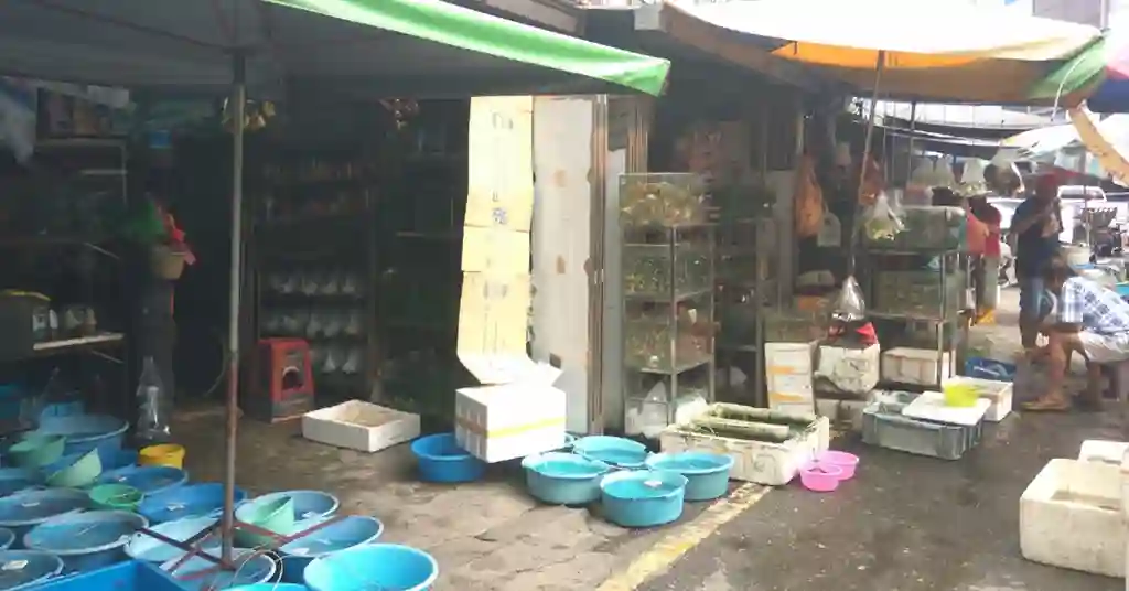 Cara untuk Sampai ke Jalan Pasar Pudu Cara untuk Sampai ke Jalan Pasar Pudu