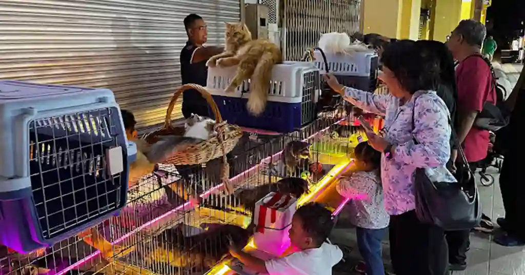 Tip Berguna untuk Pengunjung Pasar Karat JB Tip Berguna untuk Pengunjung Pasar Karat JB