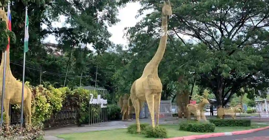 Tarikan Utama di Zoo Negara Tarikan Utama di Zoo Negara